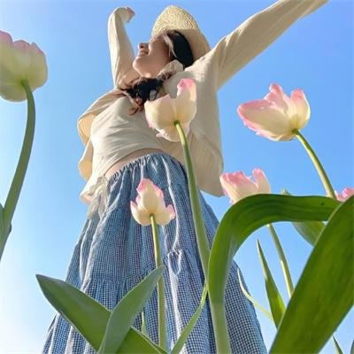 豪迈王子
